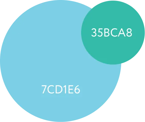 Пара холодных: 7CD1E6 и 35BCA8